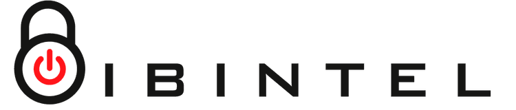 Logo Ibintel