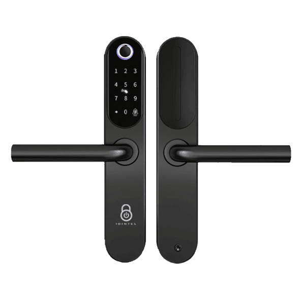 Cerradura Inteligente Puerta Exterior