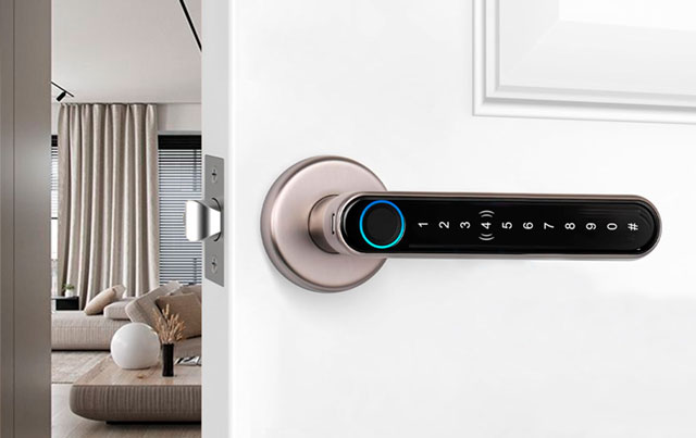 Manija Inteligente IBINTEL NORA N2 PLATA